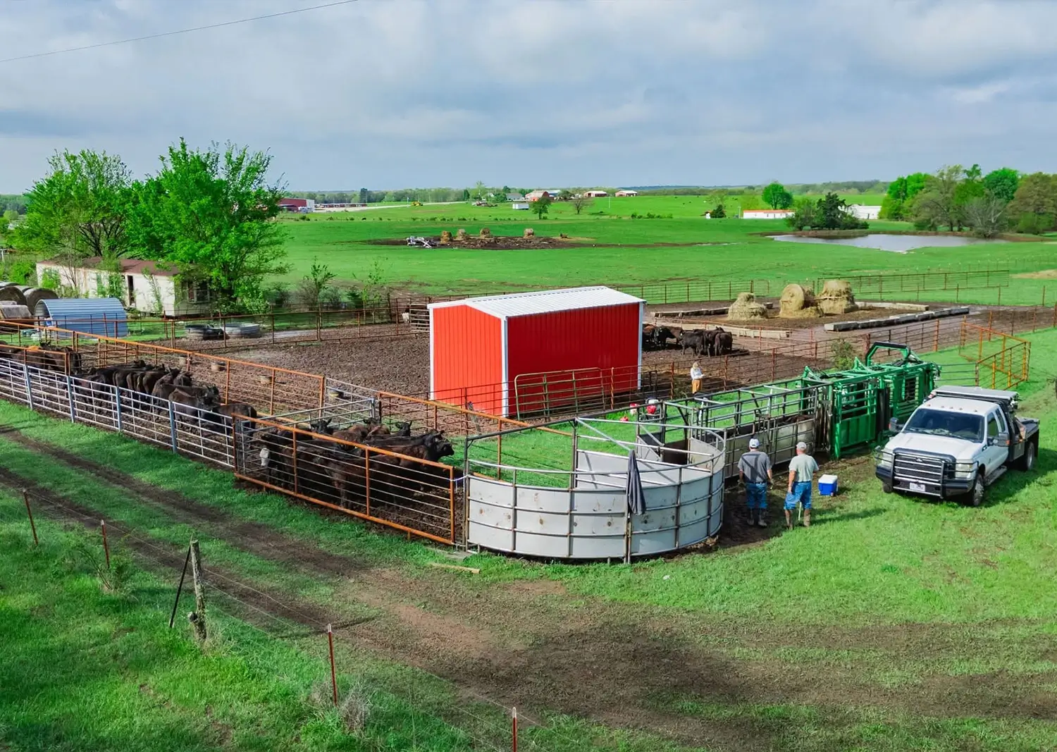 Livestock Handling Equipment at RBW