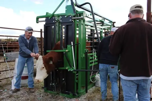 Chutes and Other Livestock Handling Equipment background