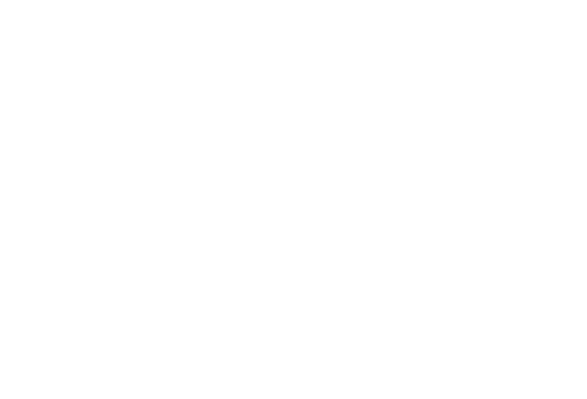 Cattle Gate Icon